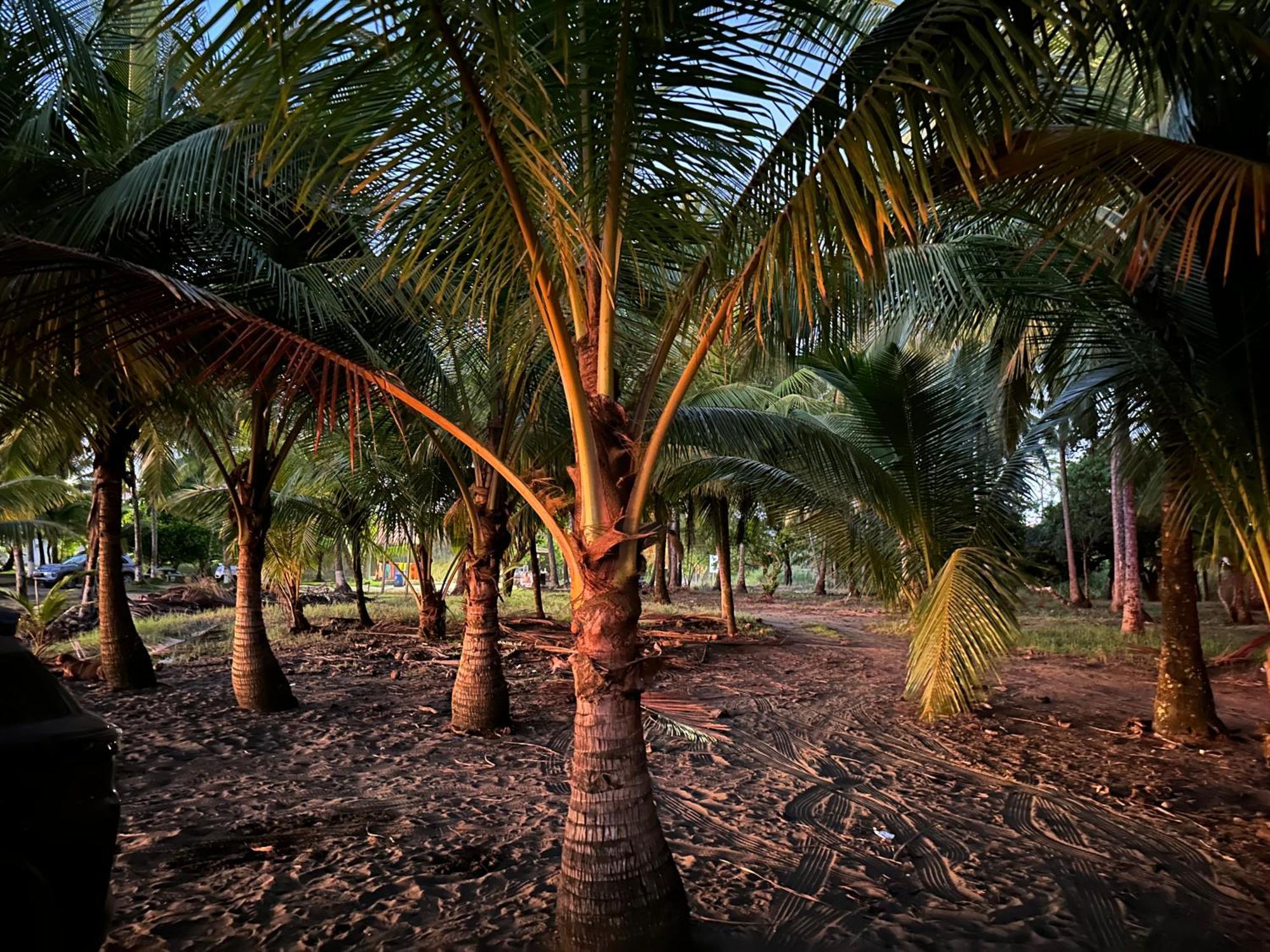 Casa Paraiso Tropical Parrita Ngoại thất bức ảnh